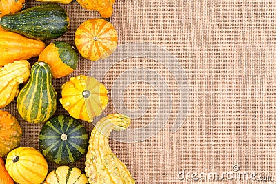 Side border of ornamental autumn gourds Stock Photo