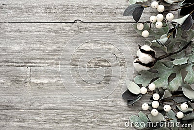 Side border of silver green leaves and white berries over gray wood Stock Photo