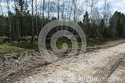 Side of a country road overgrown with birches.Spring landscape. Photo project `Country roads` Stock Photo
