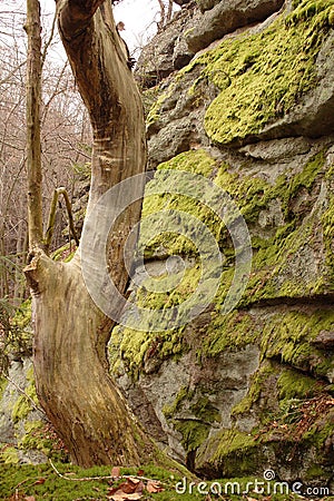 Side of rock wall with moss Stock Photo