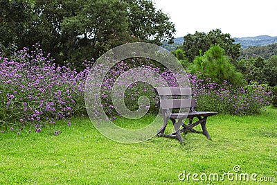 Side view of bench in garden Stock Photo