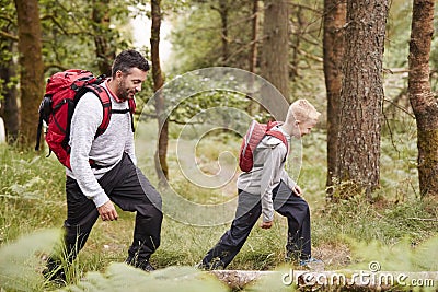 Side view of a boy walking on trail in a forest with his father, selective focus Stock Photo