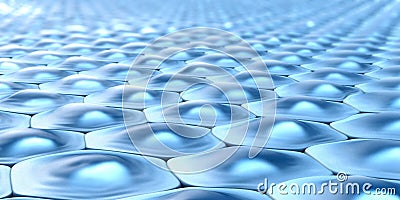 Side view of a cell pattern of hexagonal cells with nuclei Cartoon Illustration