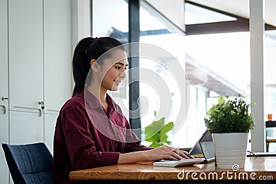 Side view charming business woman working with computer laptop in office Stock Photo