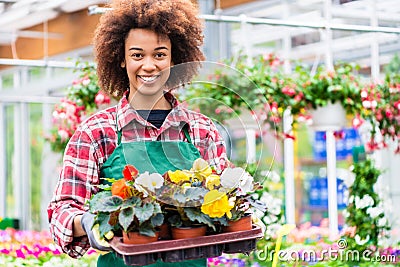 Side view of a dedicated florist holding a tray with decorative flowers Stock Photo