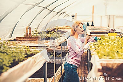 Side view florist in pink cardigan working in greenhouse. Blond slim woman holding small gardening spade and planting Stock Photo