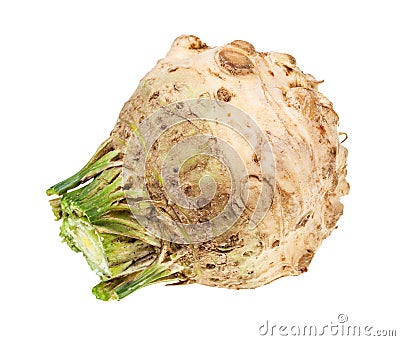 side view of fresh celeriac (celery root) isolated Stock Photo