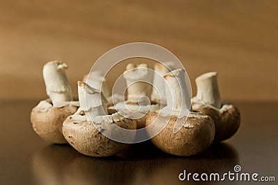 A side view of a group of brown, crimini mushrooms Stock Photo