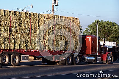 Side view of a hay hauling truck on scales Stock Photo