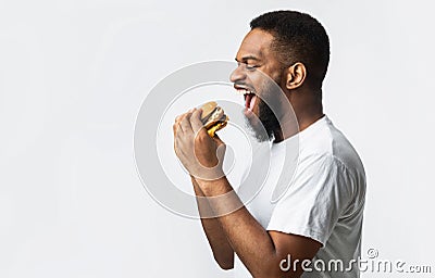 Side View Of Hungry Black Man Eating Burger, White Background Stock Photo