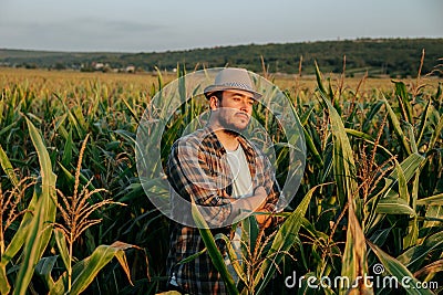 Side view looking away handsome young farmer standing in cornfield with arms crossed, at sunset. Stock Photo