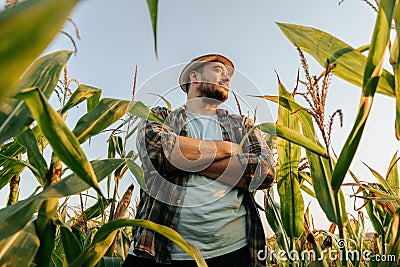 Side view looking away handsome young farmer man standing in cornfield with arms crossed, at sunset Stock Photo