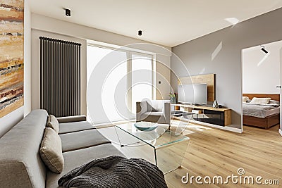 Side view of a modern living room interior with a sofa, armchair Stock Photo