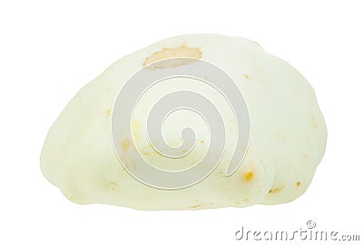 Side view of Pattypan white squash isolated Stock Photo