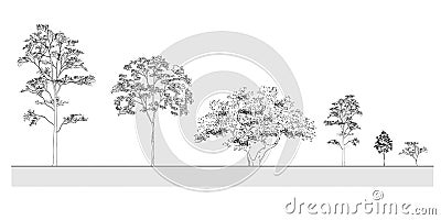 Side view, set of graphics trees elements outline symbol for architecture and landscape design drawing. Vector illustration Vector Illustration