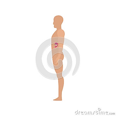 Side view spleen human body icon, flat style Cartoon Illustration