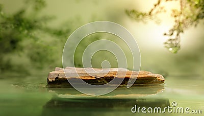 Side View of a Stone Display Stand for Product. with Green Freshness Water Ripple and Tree Branch Shadow. Background for Cosmetic Stock Photo