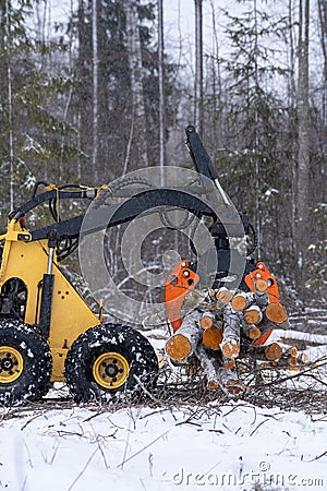 Small stand-on mini skid steer with grapple full of wooden logs Stock Photo