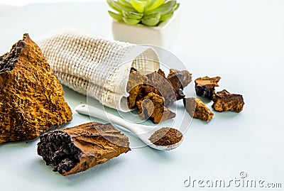 Side view of wild natural chaga mushroom Inonotus obliquus powder and pieces . Stock Photo