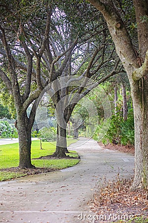 Walking Path Through the Trees as Leaves Begin to Fall Stock Photo