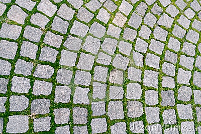 Sidewalk paving stones of gray color with grass growth between the tiles close-up. Stock Photo