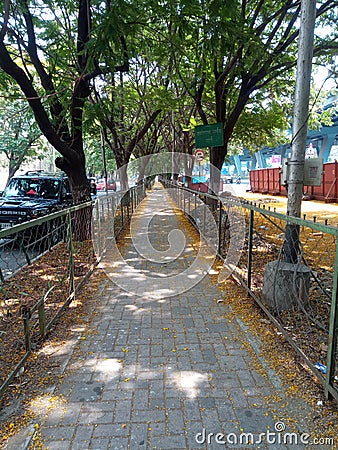 Sidewalk surrounded by trees in Thane Editorial Stock Photo