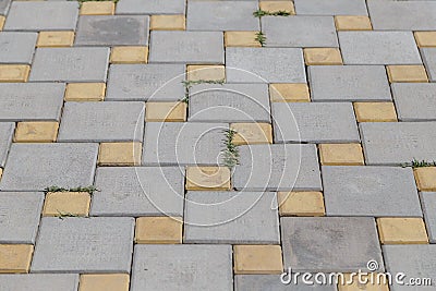 Sidewalk tiles with a new design, an exclusive product. Stock Photo