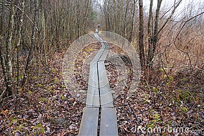 Unmarked wooden walkway through mud with person Stock Photo