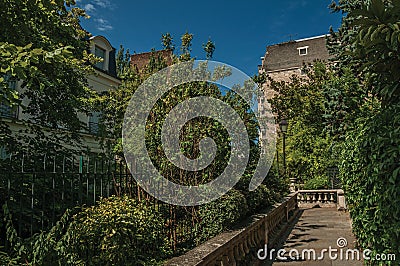 Sidewalk in wooded gardens of condos under sunny blue sky at Montmartre in Paris. Stock Photo