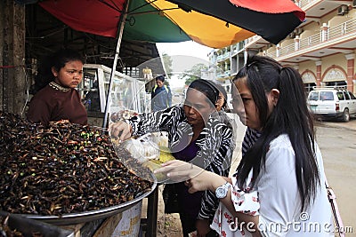 Cambodian women selling fried insects at market in Seam Peap Editorial Stock Photo