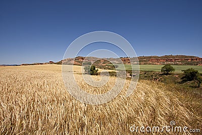 Sierra de Armantes, a small desert and wheat fields Stock Photo