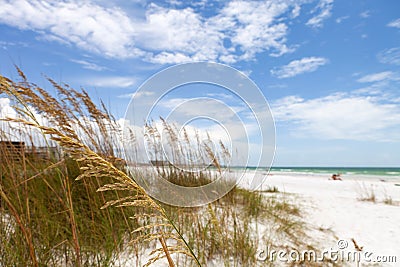 Siesta Key Beach Sarasota Florida Stock Photo