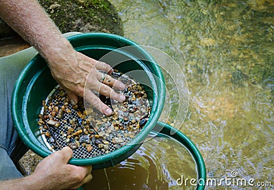 Sift and classify mineral rich soil with gold panning classifier pan. Stock Photo
