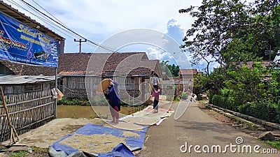 Sifting rice on the side of street - stock photo Stock Photo