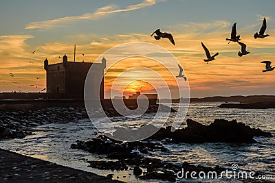 Beautiful sunset in Essaouira port. Stock Photo