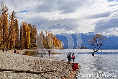 Tourists and `That Wanaka Tree`, Lake Wanaka, New Zealand Editorial Stock Photo