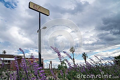 Sign for an abandoned gas station along California Route 111 highway in the Salton Sea. Purple desert lupines wildflowers in Stock Photo
