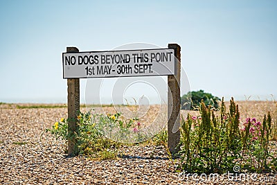 Sign on the beach saying `No dogs beyond this point 1st May - 30th Sept`. Aldeburgh, Suffolk. UK Stock Photo