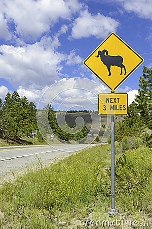 Sign for Bighorn sheep Rocky Mountains, Colorado Stock Photo