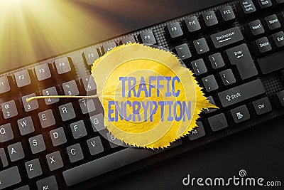 Sign displaying Traffic Encryption. Business overview method of securing the transmission of information Online Browsing Stock Photo