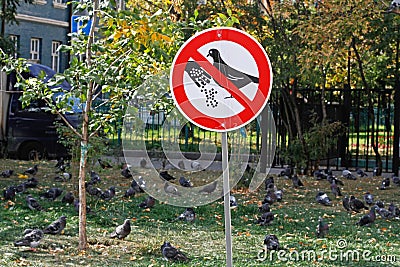 A sign `Do not feed the pigeons` on the background of a flock of birds Stock Photo