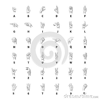 Sign language interpreter, latin alphabet grayscale signs on white Vector Illustration