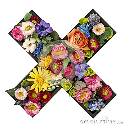 Sign of multiplication made of real natural flowers and leaves isolated. Stock Photo