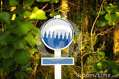 Sign in National park, empty direction sign board in park. Copy space. Stock Photo