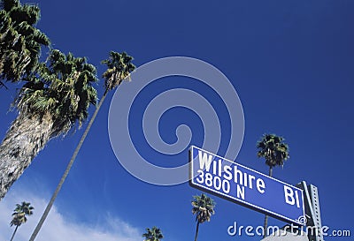 A sign that reads ï¿½Wilshire Blï¿½ Stock Photo