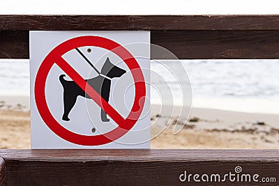 sign on the sea with dogs no entry isolated on the background of the beach Stock Photo