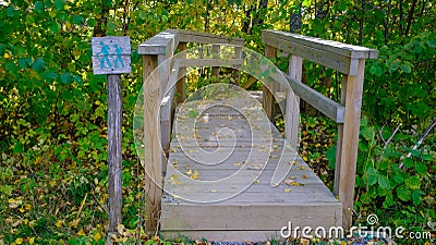 Sign of the tourist trail in the forest. Wooden sign shows tourists the directions of the trail. Stock Photo