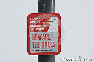 Sign warning about danger of scavenging gulls Editorial Stock Photo