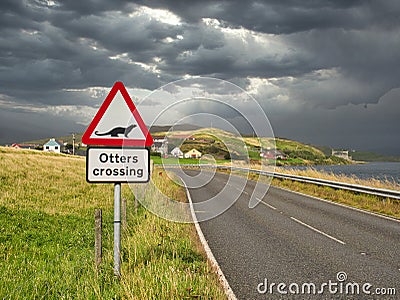 A sign warning motorists to watch for otters crossing the road near Whiteness in Shetland, Scotland, UK Editorial Stock Photo