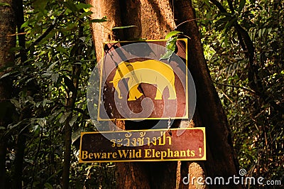 Sign warning of wild elephants, Khao Sok, Thailand Stock Photo